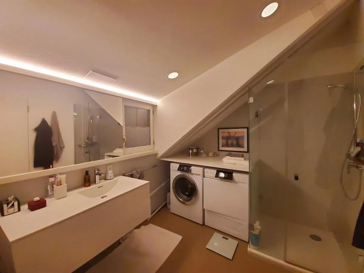 Executive Studio In Pedestrian Area Zurich 0*,
