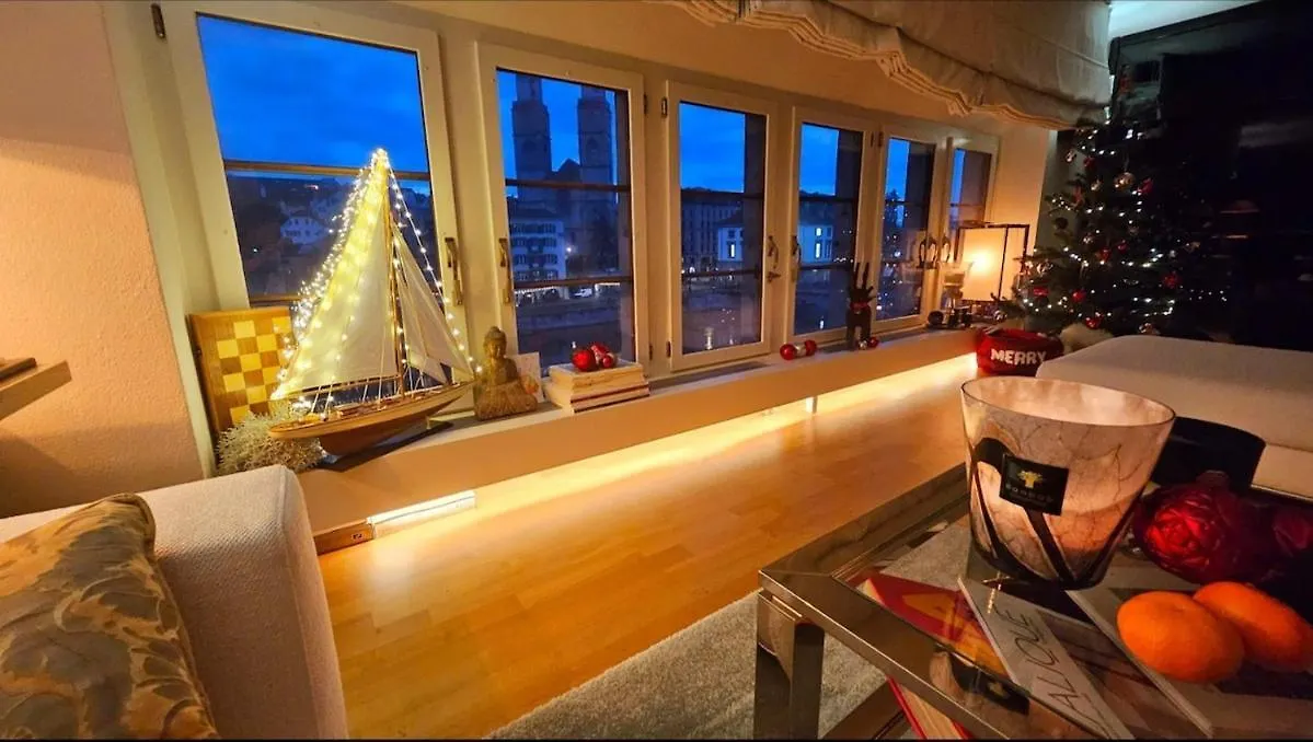 Executive Studio In Pedestrian Area Zurich Apartment